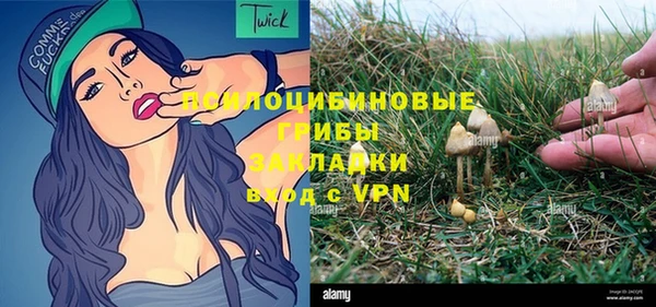 2c-b Михайловка