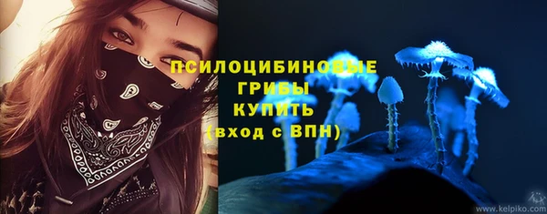 первитин Михайлов