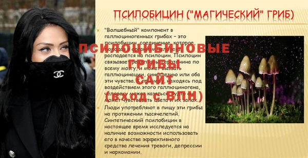 первитин Михайлов