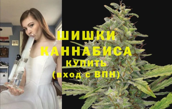 первитин Михайлов