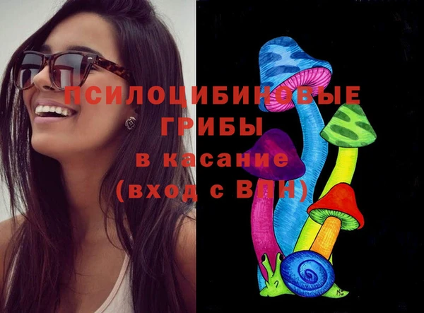 2c-b Михайловка