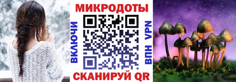 Галлюциногенные грибы Psilocybe  Олёкминск 